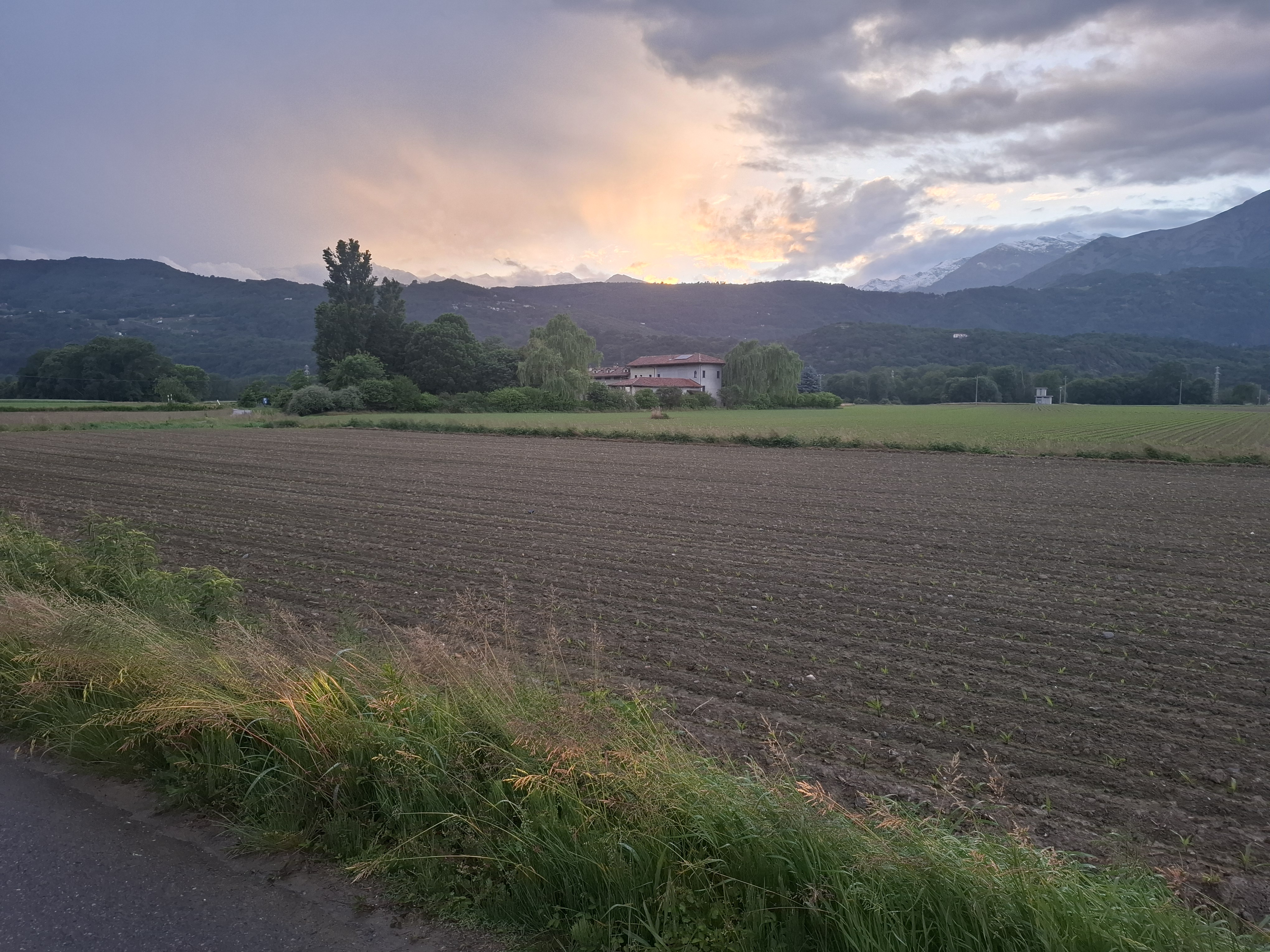 Foto 4